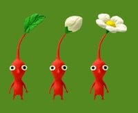 The three stages of Red Pikmin.