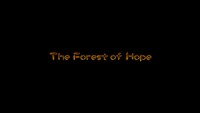 P1S Forest of Hope Loading Screen.jpg