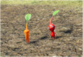 A Pikpik carrot next to a Red Pikmin.