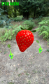 The Sunseed Berry being retrieved by a group of Pikmin.