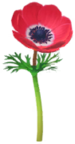 Red windflower Big Flower icon in Pikmin Bloom.