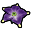 The Piklopedia icon of the Violet Candypop Bud in the Nintendo Switch version of Pikmin 2.