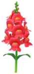Red snapdragon Big Flower icon.