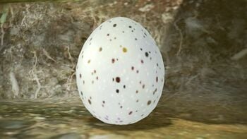 A Nectar egg in the Garden of Hope in Pikmin 3 Deluxe. They don't appear in this location in the original game.