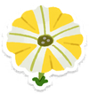 Lifelog artwork of a yellow petunia from Pikmin Bloom.