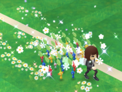 Flower Planting, as demonstrated in a tutorial image in Pikmin Bloom. (This is cropped from a texture used in-game.)