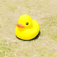 Rubber duckie.jpg