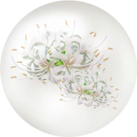White spider lily nectar icon.png