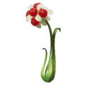 Burgeoning Spiderwort P4 icon.png