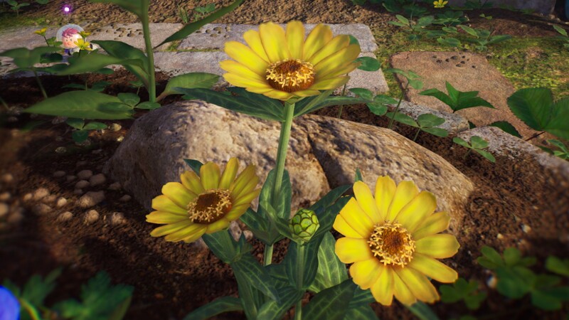 File:Asteroideae.jpg