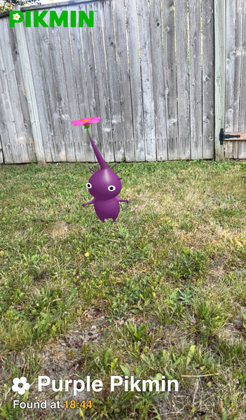 File:Pikmin Finder Purple Pikmin.png