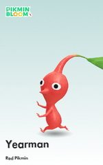 The Share Pikmin feature showcasing a Red Pikmin nicknamed Yearman in Pikmin Bloom.