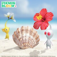 Summer Campaign Promotional Image.jpg