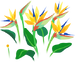 Texture for yellow bird of paradise/strelitzia flowers on the map in Pikmin Bloom.
