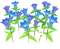 Blue gentian flowers icon.png