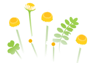 White flowers icon.png