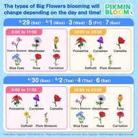 1.5 Anniversary Big Flower Schedule.jpg
