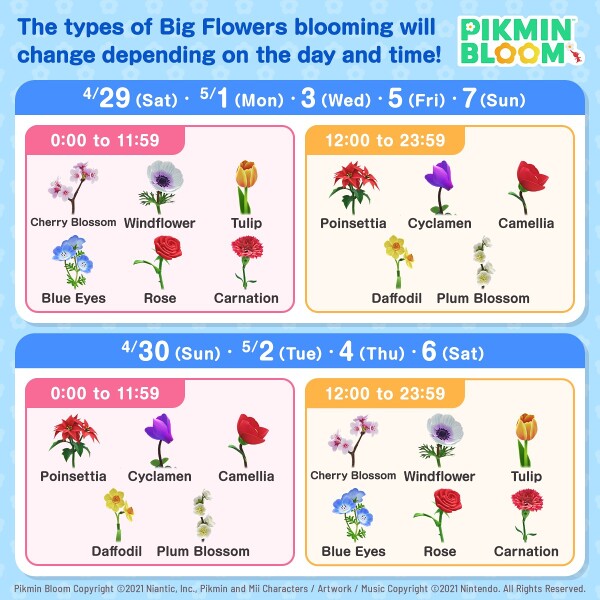 File:1.5 Anniversary Big Flower Schedule.jpg