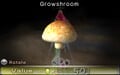 The Growshroom being analyzed.