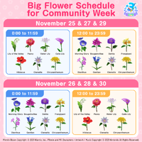 3rd Anniversary Big Flower Schedule.png