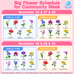 Schedule for the types of Big Flowers that bloomed during the 3rd Anniversary Community Week in Pikmin Bloom.