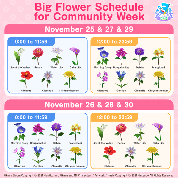 File:3rd Anniversary Big Flower Schedule.png