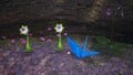 An alternative, more close-up, shot of the treasure in the location it is discovered.