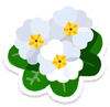 Lifelog artwork of a white primrose from Pikmin Bloom.