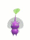 The new animation of a Purple Pikmin with a Shell from Pikmin Bloom.