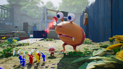 The image shown after the Pikmin 4 announcement trailer in the 9.13.2022 Nintendo Direct.