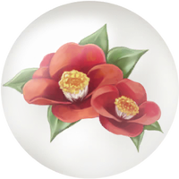 Red camellia nectar icon.png
