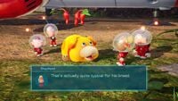 A screenshot from Pikmin 4 where Shepherd is discussing Oatchi.