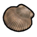 Scrumptious Shell
