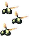 Artwork of the Shearwig from Pikmin 2.