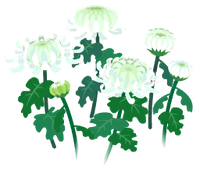 White mum flowers icon.png