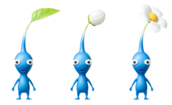 The 3 stages of Blue Pikmin in Pikmin 3.