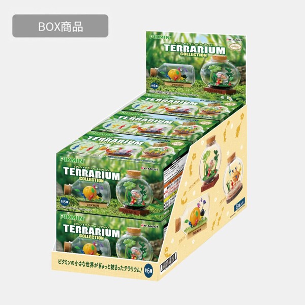 File:Terrarium Collection box.jpg