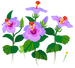 Texture for blue hibiscus flowers on the map in Pikmin Bloom.