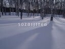 An image of a snowy forest from Sozaijiten Vol. 6. The image's description on the website says it was taken in Shikaoi, Hokkaido.