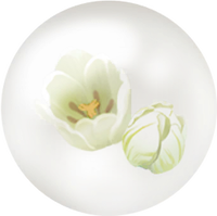 White tulip nectar icon.png