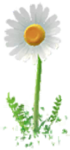 Icon for basic white Big Flowers.