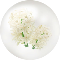 White hyacinth nectar icon.png