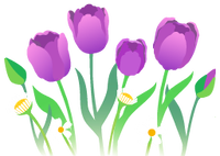 Blue tulip flowers icon.png
