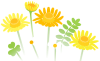 Yellow flowers icon.png