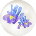 Blue iris nectar from Pikmin Bloom.