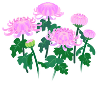 Red mum flowers icon.png