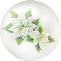 White poinsettia nectar icon.png