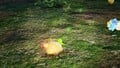An Albino Dwarf Bulborb squished as a Glow Pikmin is thrown on its back.