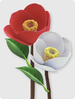 The image used on question 3 of the Pikmin Bloom Master Quiz.
