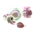 Icon for the Sputtlefish, from Pikmin 3 Deluxe's Piklopedia.